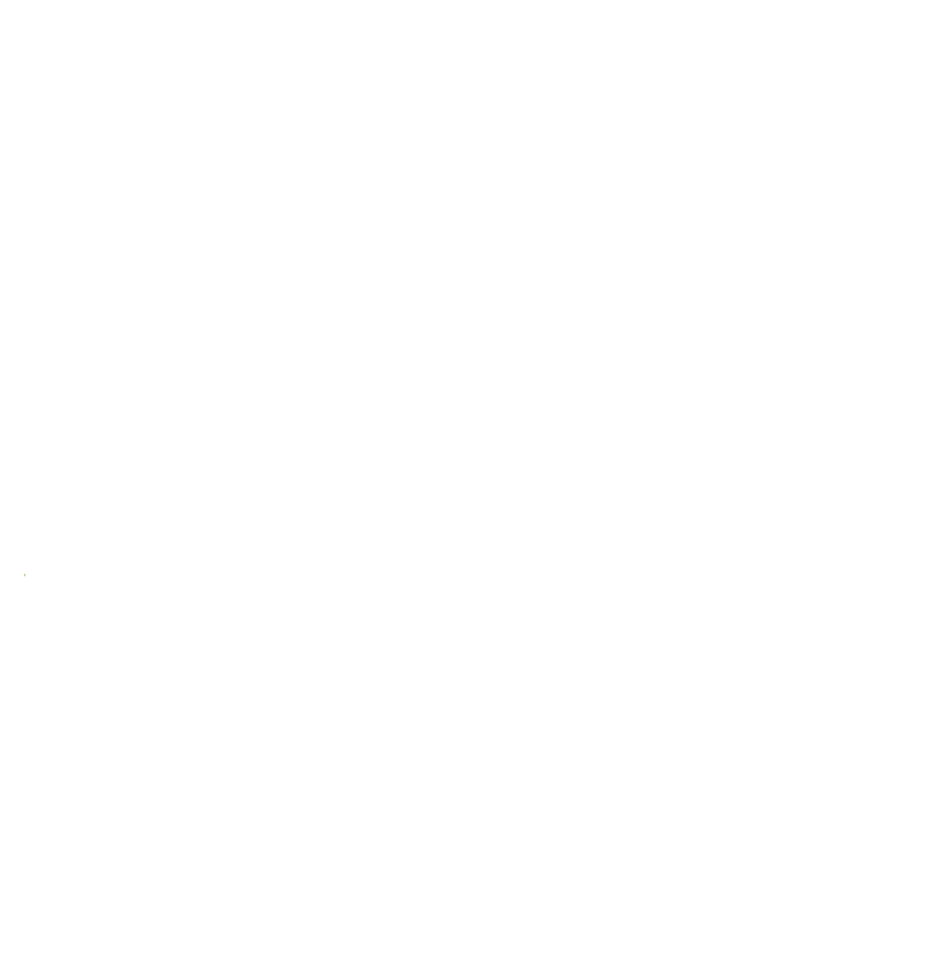 Mazzocchia Group