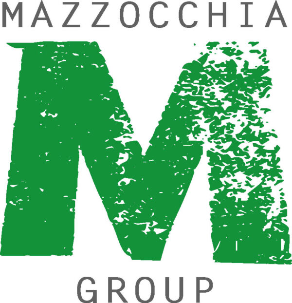 VISIERA PROTETTIVA 1 PZ - immagine 2